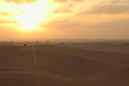 Abu-Dhabi-Jan-2015-10