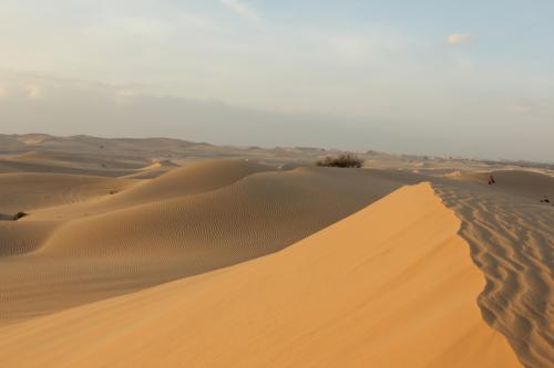 Abu-Dhabi-Jan-2015-11