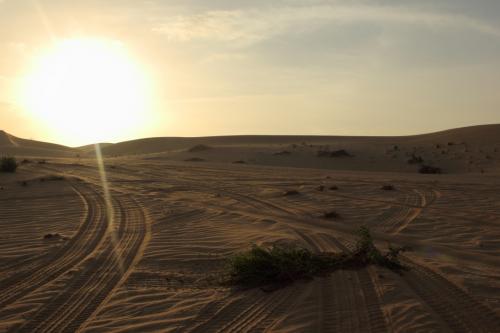 Abu-Dhabi-Jan-2015-12