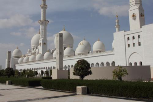 Abu-Dhabi-Jan-2015-15