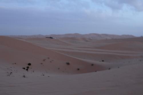 Abu-Dhabi-Jan-2015-6