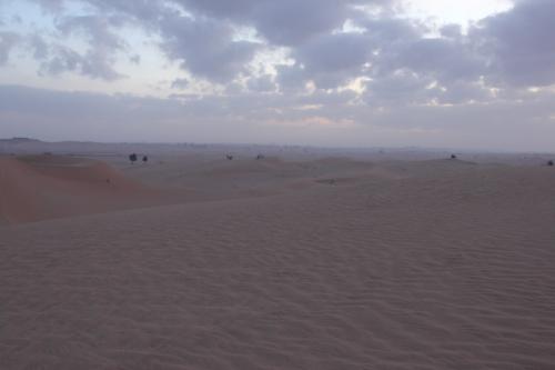 Abu-Dhabi-Jan-2015-8