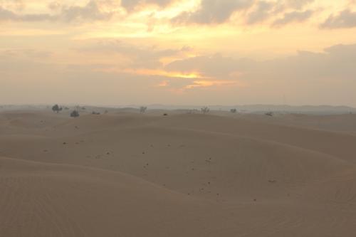 Abu-Dhabi-Jan-2015-9