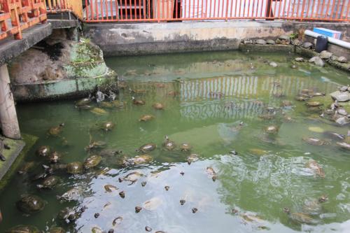 Kek-Lok-Si-Temple-Temple01