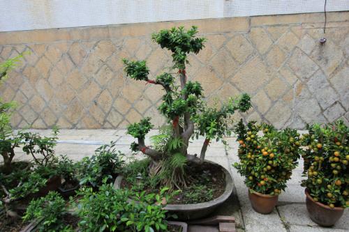 Kek-Lok-Si-Temple-Temple03