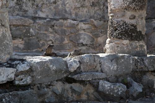 Mexiko Cancun Februar 2016-33