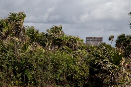 Mexiko Cancun Februar 2016-38