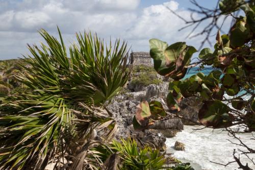 Mexiko Cancun Februar 2016-40