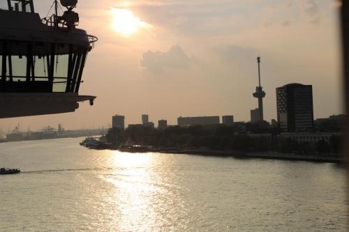 Rotterdam305