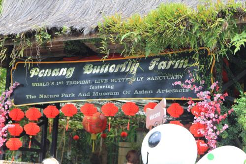 Schmetterlingsfarm-Strand01