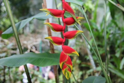 Schmetterlingsfarm-Strand04