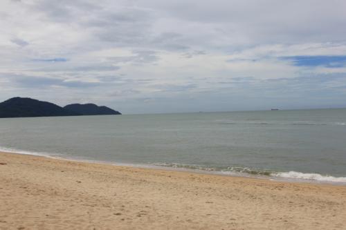 Schmetterlingsfarm-Strand13