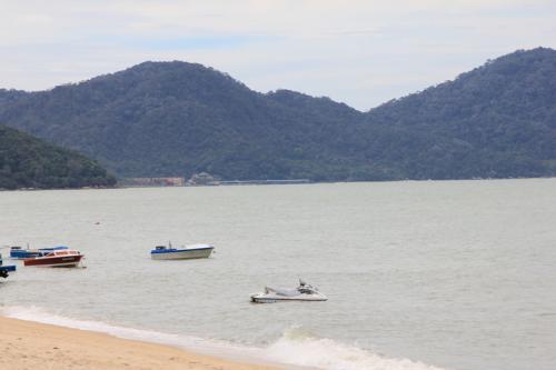 Schmetterlingsfarm-Strand14