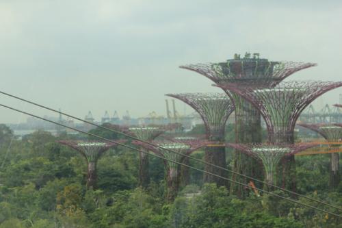 Singapur29
