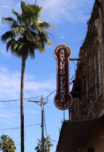 Tampa Februar 2016 184