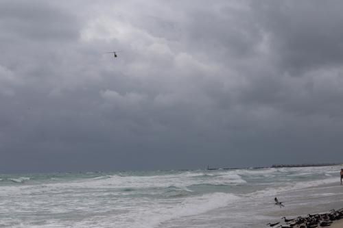 USA Miami Februar 2016100