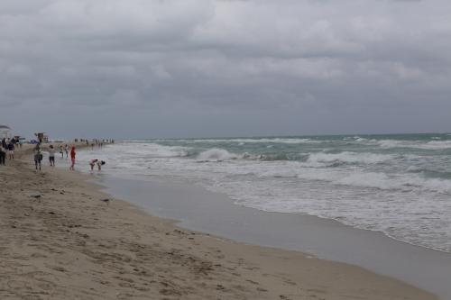 USA Miami Februar 2016101