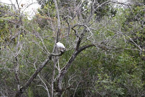 USA Miami Februar 2016109