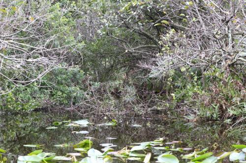 USA Miami Februar 2016110