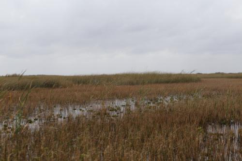 USA Miami Februar 2016112