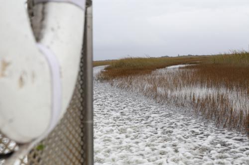 USA Miami Februar 2016113