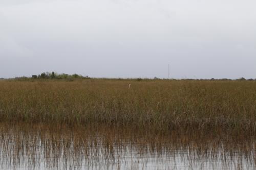 USA Miami Februar 2016114