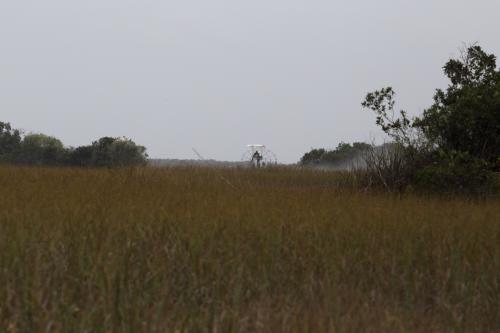 USA Miami Februar 2016116