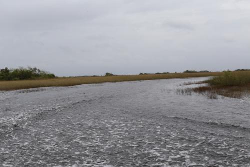 USA Miami Februar 2016118