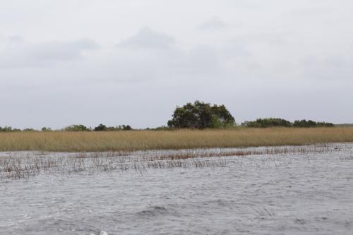 USA Miami Februar 2016119