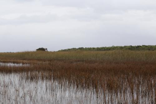 USA Miami Februar 2016120