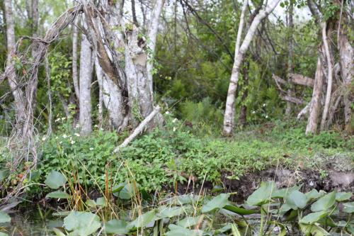 USA Miami Februar 2016127