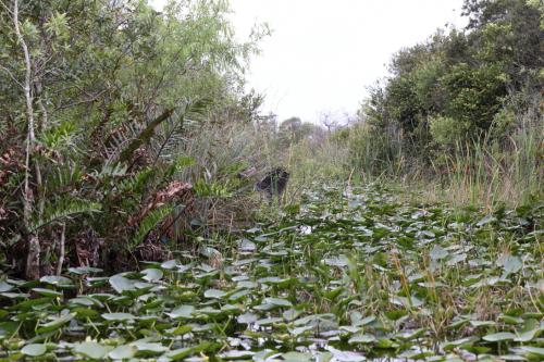 USA Miami Februar 2016129