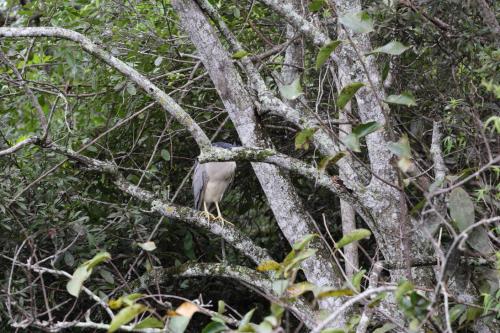 USA Miami Februar 2016133