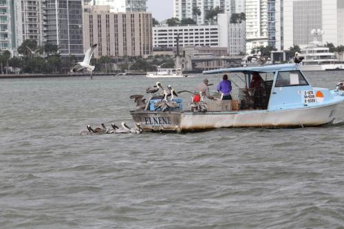 USA Miami Feb 201634