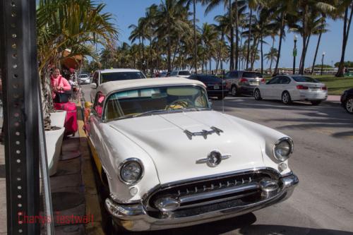 USA Miami Feb 2016 140