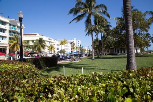 USA Miami Feb 2016 141