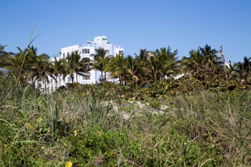 USA Miami Feb 2016 146